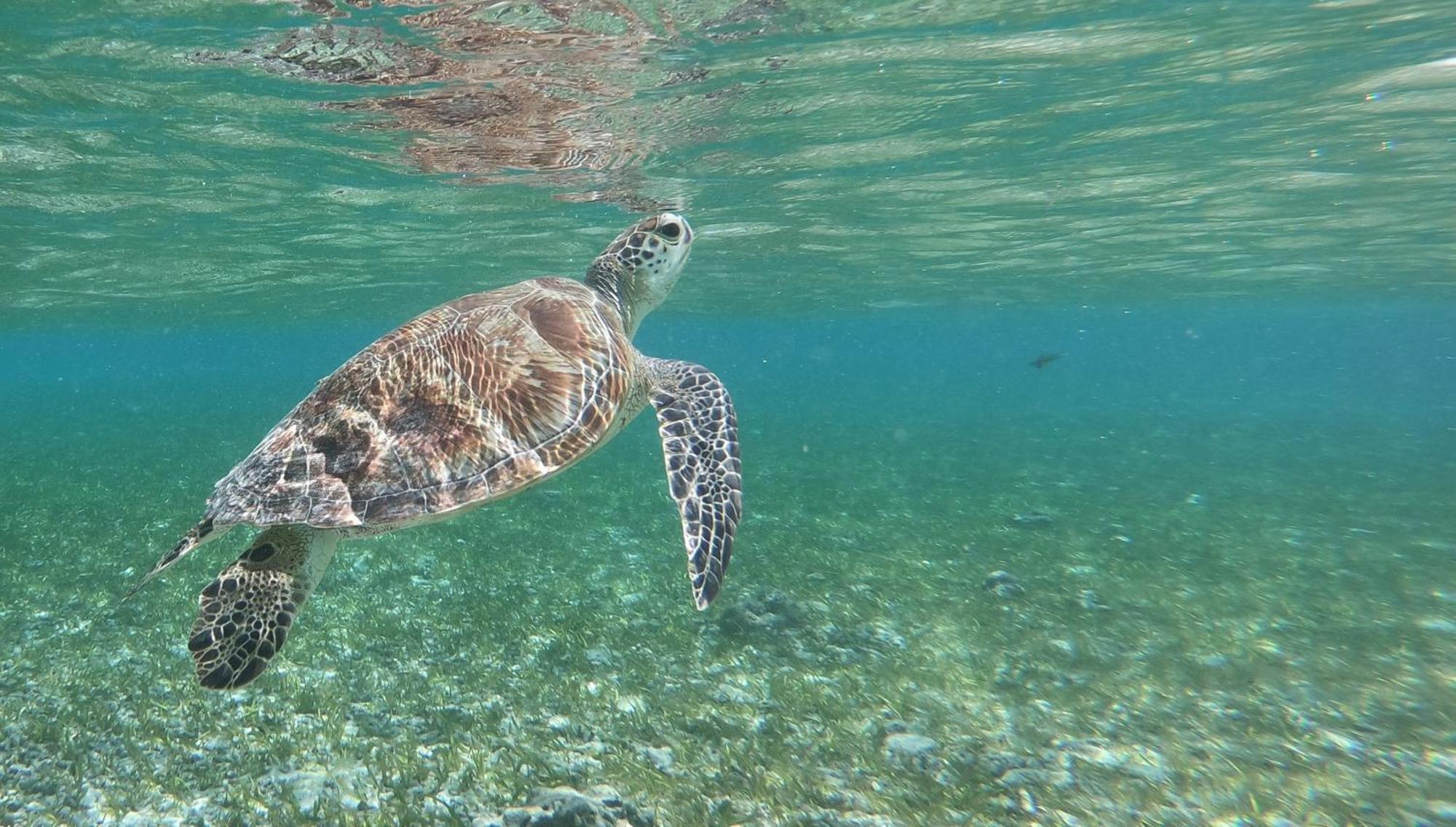 Seri Gili Meno